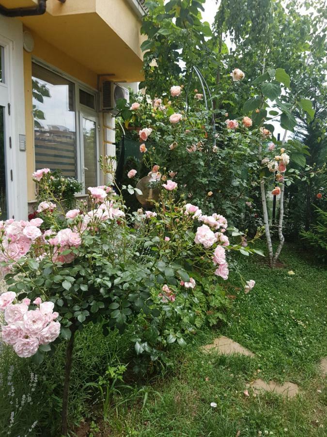Guesthouse Zanier Несебир Екстер'єр фото