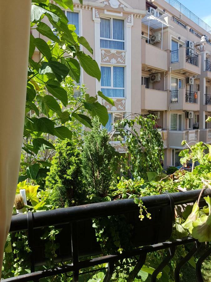 Guesthouse Zanier Несебир Екстер'єр фото
